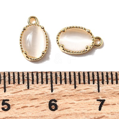 Oval Brass Charms KK-D024-01E-G-1
