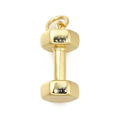 Brass Pendants X-KK-V002-13G-1