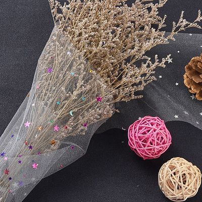 Star Sequin Deco Mesh Ribbons OCOR-P010-F12-1