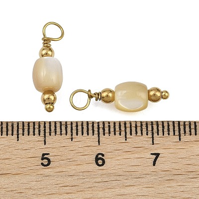 Natural Freshwater Shell Pendants SH-CBA5EEC-12G-1