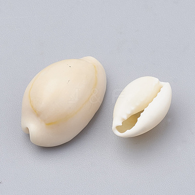 Cowrie Shell Beads X-SSHEL-T004-08-1