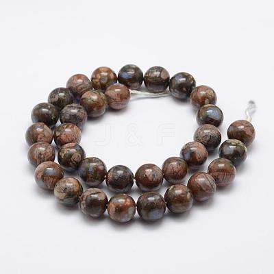 Natural Glaucophane Beads Strands G-K209-04A-10mm-1