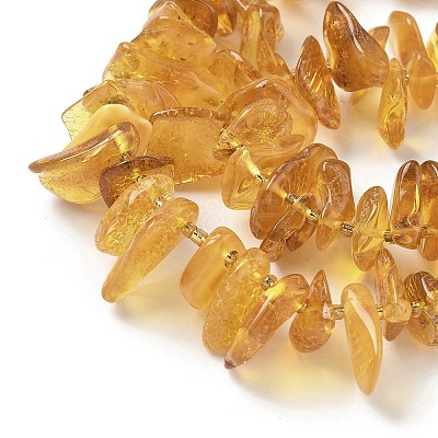 Natural Amber Beads Strands G-L095-D01-03-1