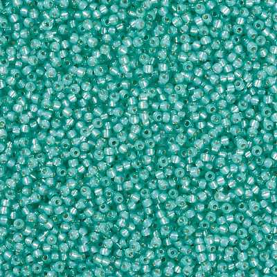 MIYUKI Round Rocailles Beads X-SEED-G008-RR0571-1