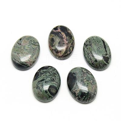 Natural Kambaba Jasper Cabochons G-R450-01-1