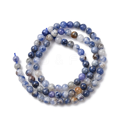 Natural Blue Spot Jasper Beads Strands G-Z116-A02-2mm-1