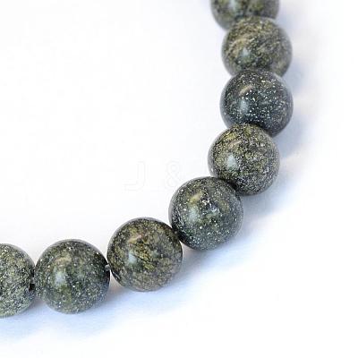 Natural Serpentine/Green Lace Stone Round Bead Strands G-E334-8mm-14-1