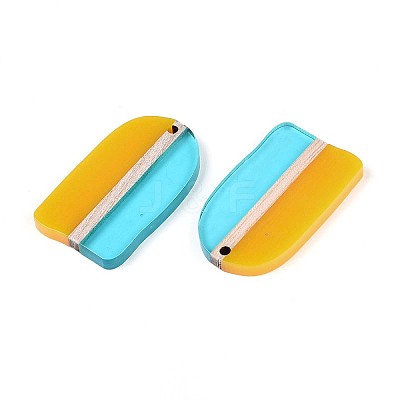 Transaprent Resin & Wood Pendants RESI-T057-81-1