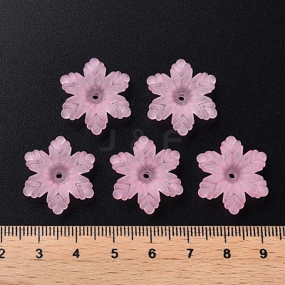 Transparent Acrylic Beads MACR-S373-117-D12-1