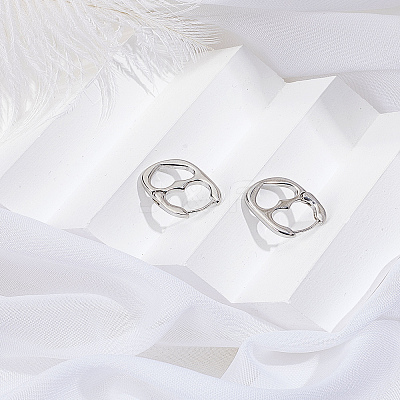 1 Pair Alloy Hoop Earrings EJEW-LP0013-04P-1