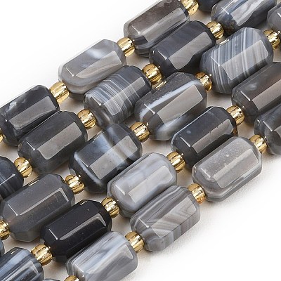 Natural Botswana Agate Beads Strands G-P611-A01-01-1