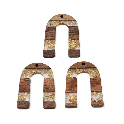 Transparent Resin & Waxed Walnut Wood Pendants RESI-Q211-02A-1