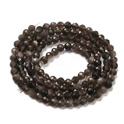 Natural Silver Sheen Obsidian Beads Strands G-E608-A02-B-1