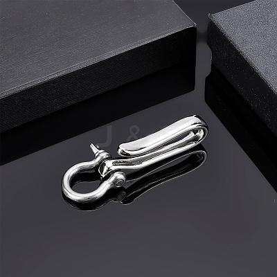 2Pcs 2 Style Brass S Hook Clasps and D-Ring Anchor Shackle Clasps KK-PH0002-70-1