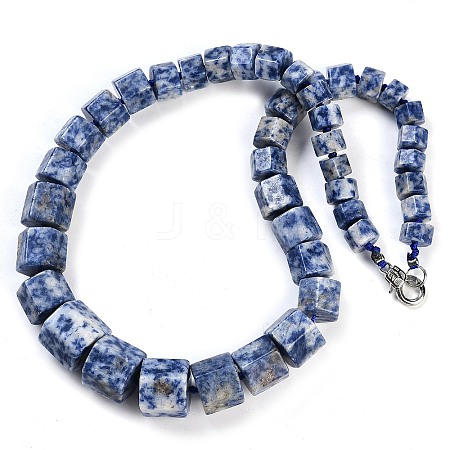 Natural Blue Spot Jasper Hexagon Prism Graduated Beaded Necklaces for Women Men NJEW-K388-03C-1