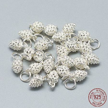 925 Sterling Silver Charms STER-T002-297S-1