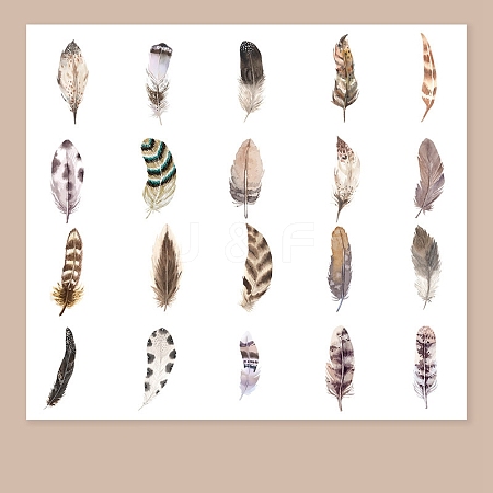 Feather Shape PET Sticker PW-WG99ABE-01-1