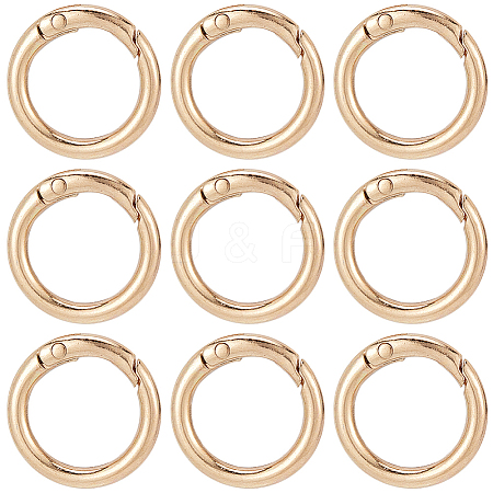 SUNNYCLUE 30Pcs Alloy Spring Gate Rings FIND-SC0009-08-1