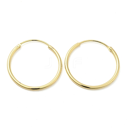 Rack Plating Brass Huggie Hoop Earrings EJEW-Q773-10G-1