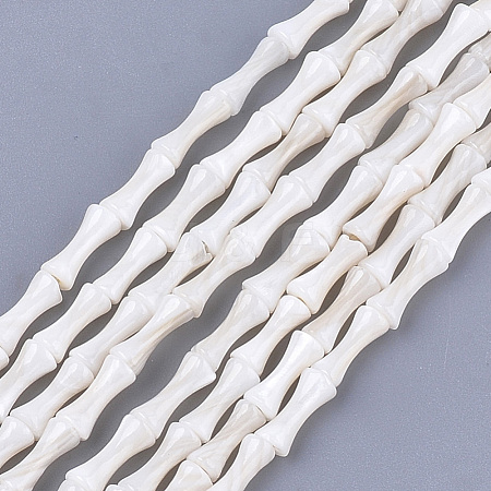 Freshwater Shell Beads Strands SHEL-T012-48-1