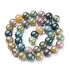Natural Indian Agate Beads Strands X-GSR10mmC002-3