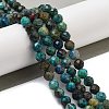 Natural Chrysocolla Beads Strands LS-G-G927-15C-2