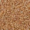 MIYUKI Round Rocailles Beads X-SEED-G009-RR0580-2