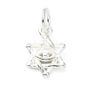 925 Sterling Silver Star of David with Eye Charms STER-M119-11S-1