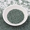 MIYUKI Delica Beads SEED-J020-DB2379-2