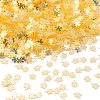 Plastic Sequins Beads PVC-R024-06A-1