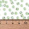 FGB Transparent Colours Glass Seed Beads SEED-Q040-07A-B06-4