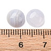 Natural Blue Lace Agate Cabochons G-O185-01H-02-3