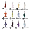 12Pcs 12 Style 12 Constellation Mixed Gemstone Pendants PALLOY-JF02816-1