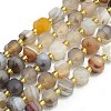 Natural Botswana Agate Beads Strands G-I376-D16-01-1