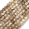 Natural Freshwater Shell Beads Strands SHEL-K006-71B-1