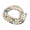 Natural Blue Ice Glacierite Stone Beads Strands G-G078-A01-01-2