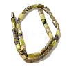 Natural Yellow Turquoise(Jasper) Beads Strands G-B078-J01-01-3