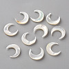 Natural White Shell Beads LS-SSHEL-Q311-004B-01-2