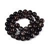 Natural Biotite Beads Strands G-Q616-01D-3
