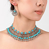 Retro Alloy Choker Necklace & Dangle Earring Sets for Women FS-WG4A54C-03-1