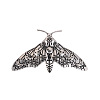 Moon Phase Moth Alloy Brooch Pin JEWB-Z031-06AS-1