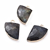 Natural Labradorite Pendants G-E564-06A-2