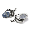 Natural Lapis Lazuli Pendants G-H332-11AS-10-2