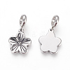 304 Stainless Steel European Dangle Charms STAS-P217-07AS-2