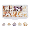 SUPERFINDINGS 5 Styles Shell Beads SHEL-FH0001-22-1