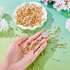 3300Pcs 3 Colors Plated Glass Bugle Beads SEED-TA0001-56-6