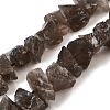 Natural Smoky Quartz Beads Strands G-I283-F13-2