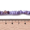 Natural Freshwater Shell Beads SHEL-B003-01L-4