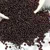 TOHO 6/0 Demi Round Beads Y-SEED-DR06-0502-3