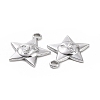 Non-Tarnish 304 Stainless Steel Pendants STAS-C003-14P-3